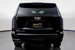 2025 Cadillac Escalade thumbnail – Pompano Beach, FL – 13