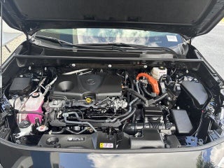 2023 Toyota RAV4 Hybrid thumbnail – Pompano Beach, FL – 48