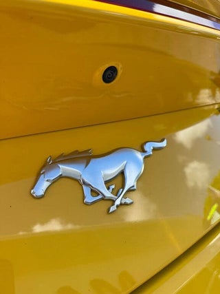 Ford Mustang for sale Las Vegas