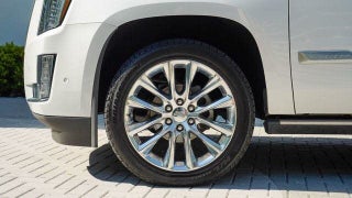 2019 Cadillac Escalade ESV thumbnail – Fort Lauderdale, FL – 12