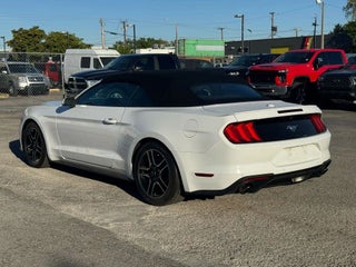 2022 Ford Mustang thumbnail – Miami, FL – 5