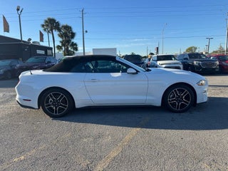 2022 Ford Mustang thumbnail – Miami, FL – 9