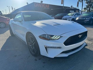 2022 Ford Mustang thumbnail – Miami, FL – 2