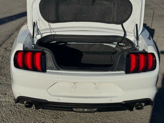 2022 Ford Mustang thumbnail – Miami, FL – 14
