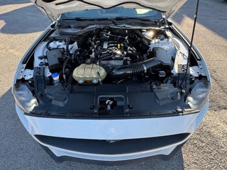 2022 Ford Mustang thumbnail – Miami, FL – 13