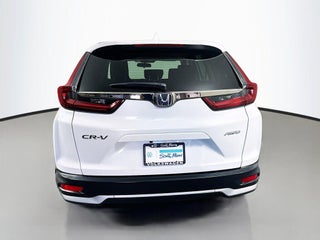 2022 Honda CR-V thumbnail – Miami, FL – 5