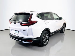 2022 Honda CR-V thumbnail – Miami, FL – 4