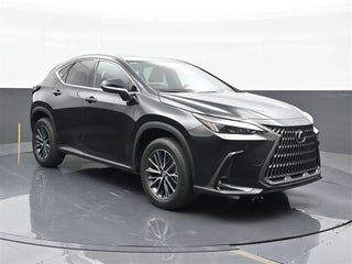 2024 Lexus NX 250 thumbnail – Miami, FL – 11