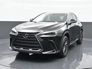 2024 Lexus NX 250 thumbnail – Miami, FL – 8