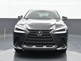 2024 Lexus NX 250 thumbnail – Miami, FL – 13