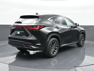 2024 Lexus NX 250 thumbnail – Miami, FL – 12