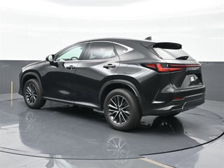 2024 Lexus NX 250 thumbnail – Miami, FL – 9