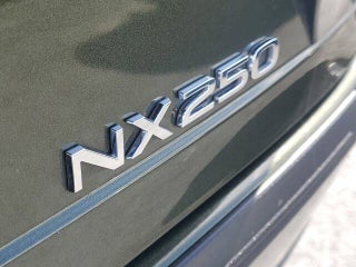 2024 Lexus NX 250 thumbnail – Miami, FL – 10