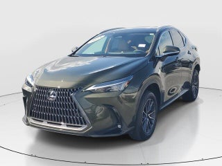 2024 Lexus NX 250 thumbnail – Miami, FL – 5