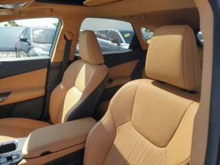 2024 Lexus NX 250 thumbnail – Miami, FL – 20