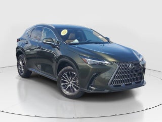 2024 Lexus NX 250 thumbnail – Miami, FL – 3