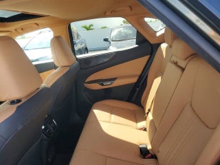 2024 Lexus NX 250 thumbnail – Miami, FL – 14