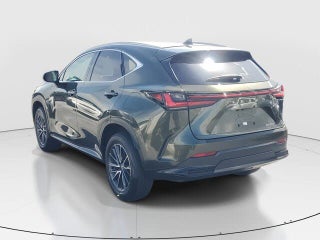 2024 Lexus NX 250 thumbnail – Miami, FL – 7