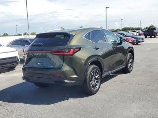 2024 Lexus NX 250 thumbnail – Miami, FL – 9