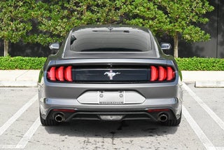 2021 Ford Mustang thumbnail – Miami, FL – 21
