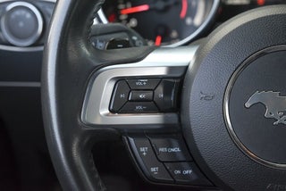 2021 Ford Mustang thumbnail – Miami, FL – 36