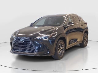 2023 Lexus NX 250 thumbnail – Miami, FL – 17