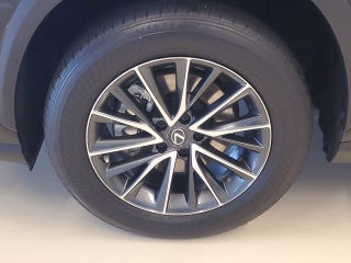 2023 Lexus NX 250 thumbnail – Miami, FL – 18