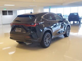 2023 Lexus NX 250 thumbnail – Miami, FL – 22