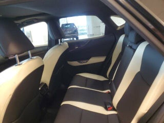 2023 Lexus NX 250 thumbnail – Miami, FL – 28