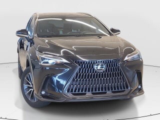 2023 Lexus NX 250 thumbnail – Miami, FL – 14