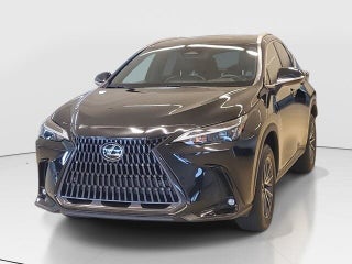 2023 Lexus NX 250 thumbnail – Miami, FL – 16