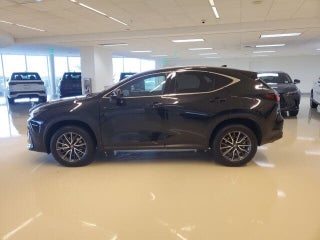 2023 Lexus NX 250 thumbnail – Miami, FL – 19