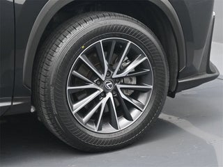 2024 Lexus NX 250 thumbnail – Miami, FL – 20