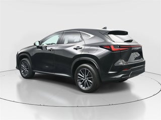 2024 Lexus NX 250 thumbnail – Miami, FL – 17