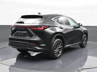 2024 Lexus NX 250 thumbnail – Miami, FL – 28