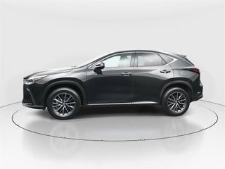 2024 Lexus NX 250 thumbnail – Miami, FL – 19