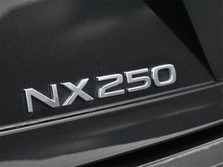 2024 Lexus NX 250 thumbnail – Miami, FL – 34