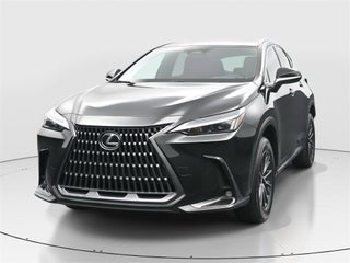 2024 Lexus NX 250 thumbnail – Miami, FL – 15