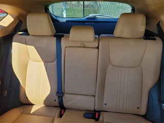 2024 Lexus NX 250 thumbnail – Miami, FL – 11