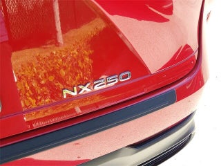 2024 Lexus NX 250 thumbnail – Miami, FL – 7
