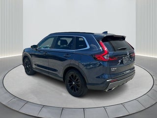 2024 Honda CR-V Hybrid thumbnail – Miami, FL – 8