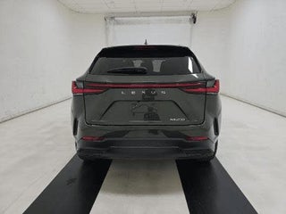 2024 Lexus NX 250 thumbnail – Miami, FL – 8