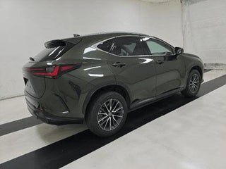 2024 Lexus NX 250 thumbnail – Miami, FL – 4