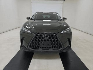 2024 Lexus NX 250 thumbnail – Miami, FL – 7