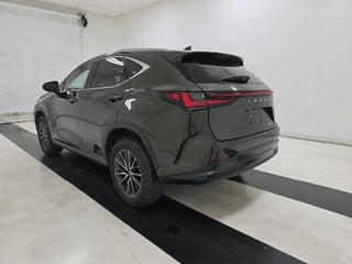 2024 Lexus NX 250 thumbnail – Miami, FL – 6