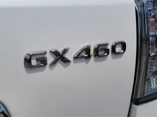 2019 Lexus GX 460 thumbnail – Miami Shores, FL – 9