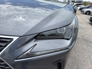 2021 Lexus NX 300 thumbnail – Hollywood, FL – 14
