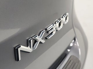 2021 Lexus NX 300 thumbnail – Miami, FL – 9