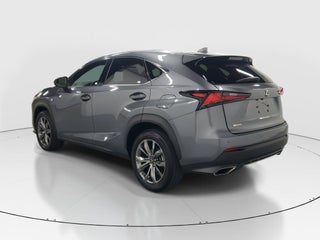 2021 Lexus NX 300 thumbnail – Miami, FL – 6