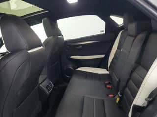 2021 Lexus NX 300 thumbnail – Miami, FL – 14
